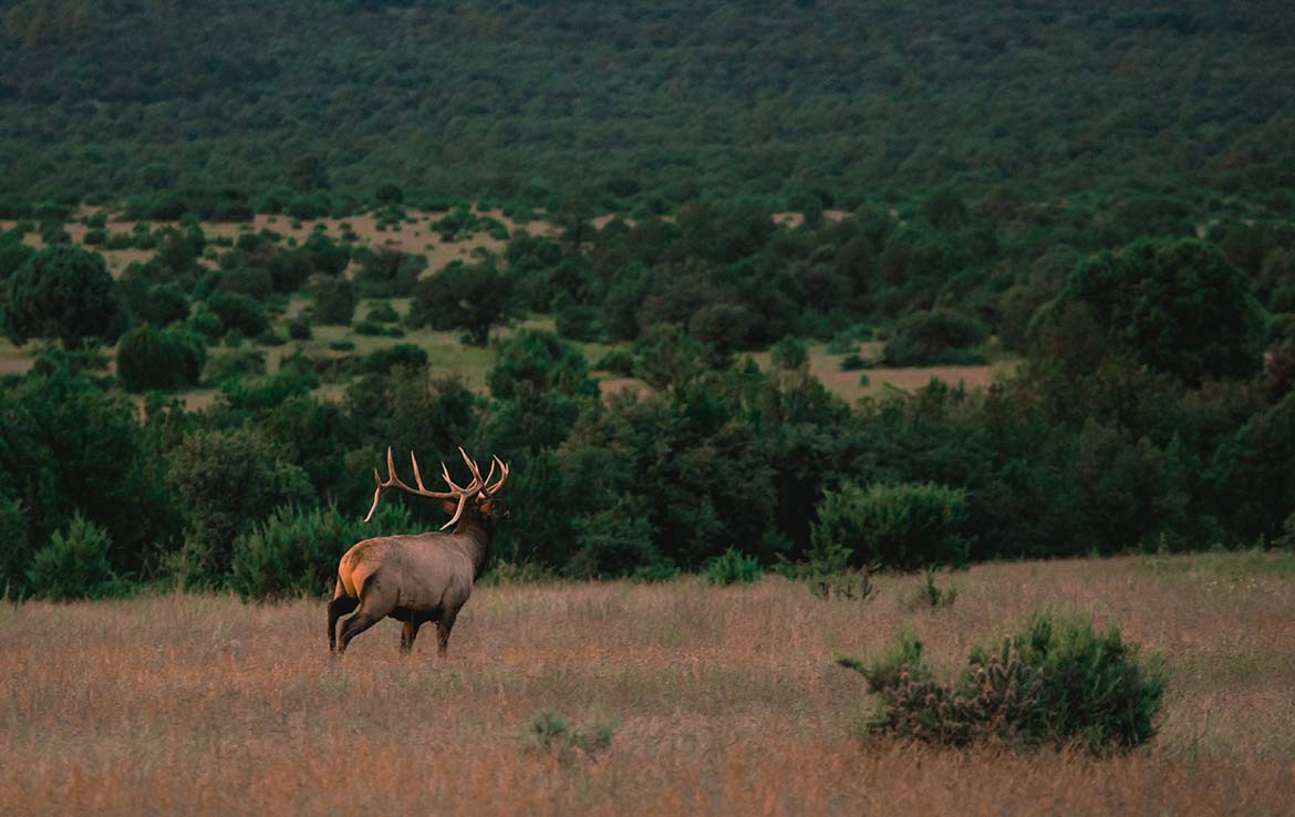 El Capitan Ranch 11,070 Acre Ranch Lincoln County Image 10