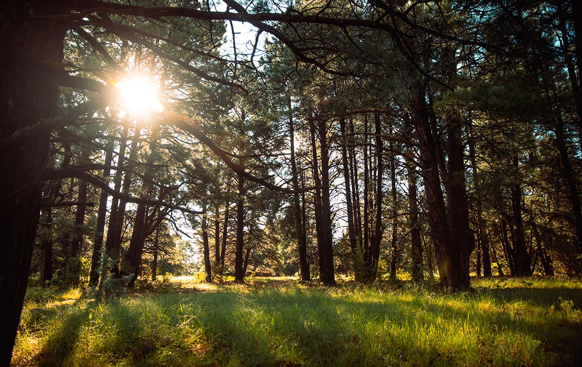 El Capitan Ranch 11,070 Acre Ranch Lincoln County Image 12