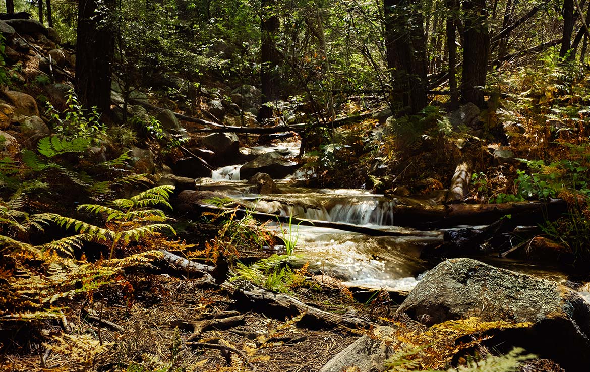El Capitan Ranch 11,070 Acre Ranch Lincoln County Image 13
