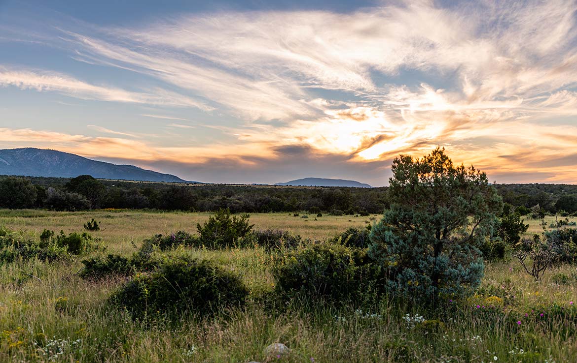 El Capitan Ranch 11,070 Acre Ranch Lincoln County Image 15
