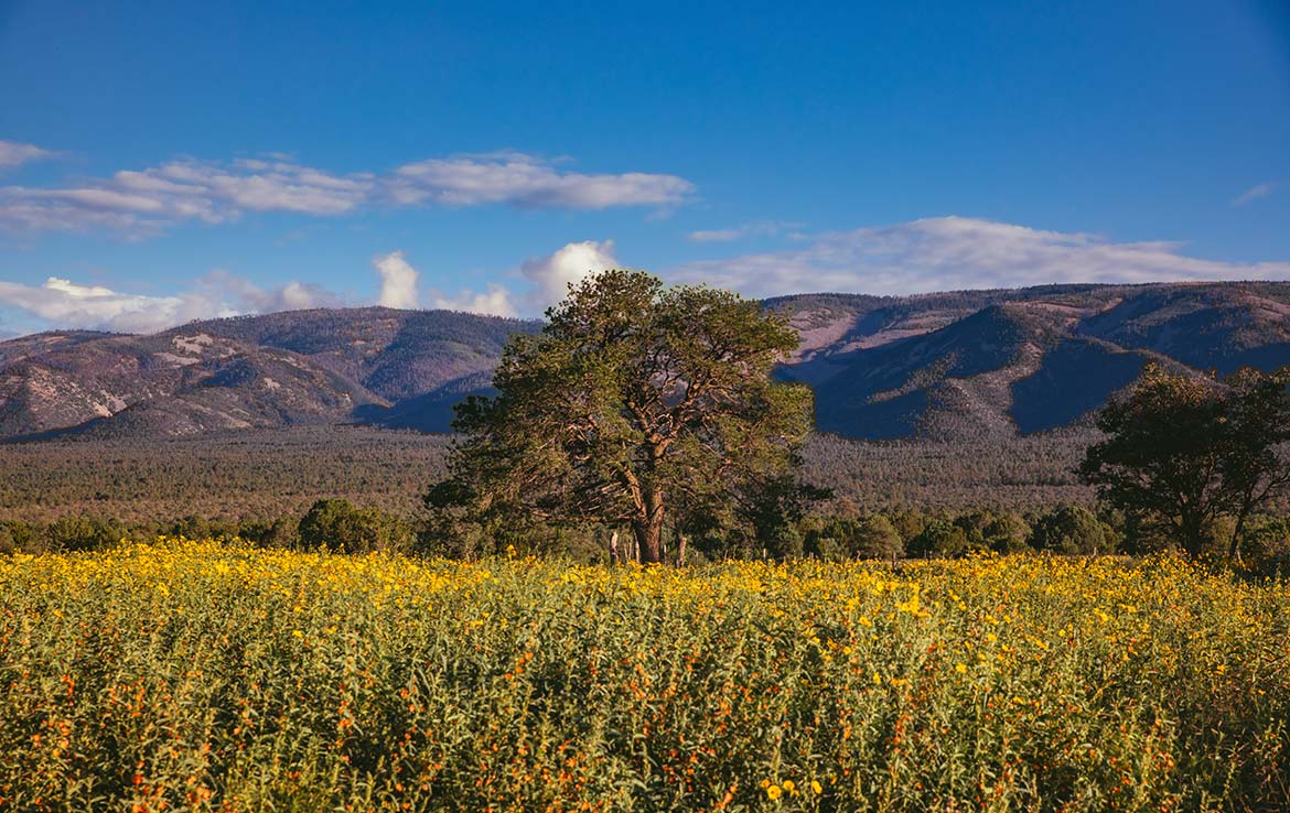 El Capitan Ranch 11,070 Acre Ranch Lincoln County Image 18