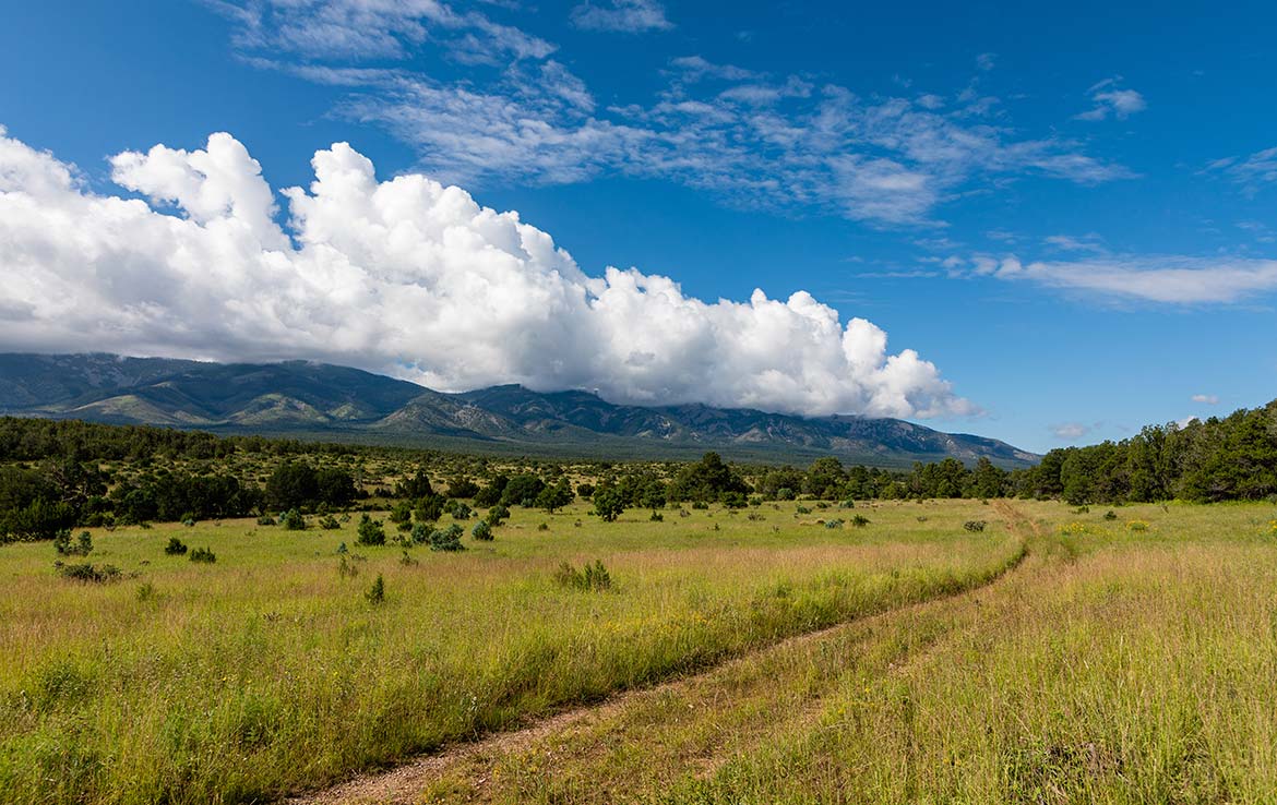 El Capitan Ranch 11,070 Acre Ranch Lincoln County Image 19