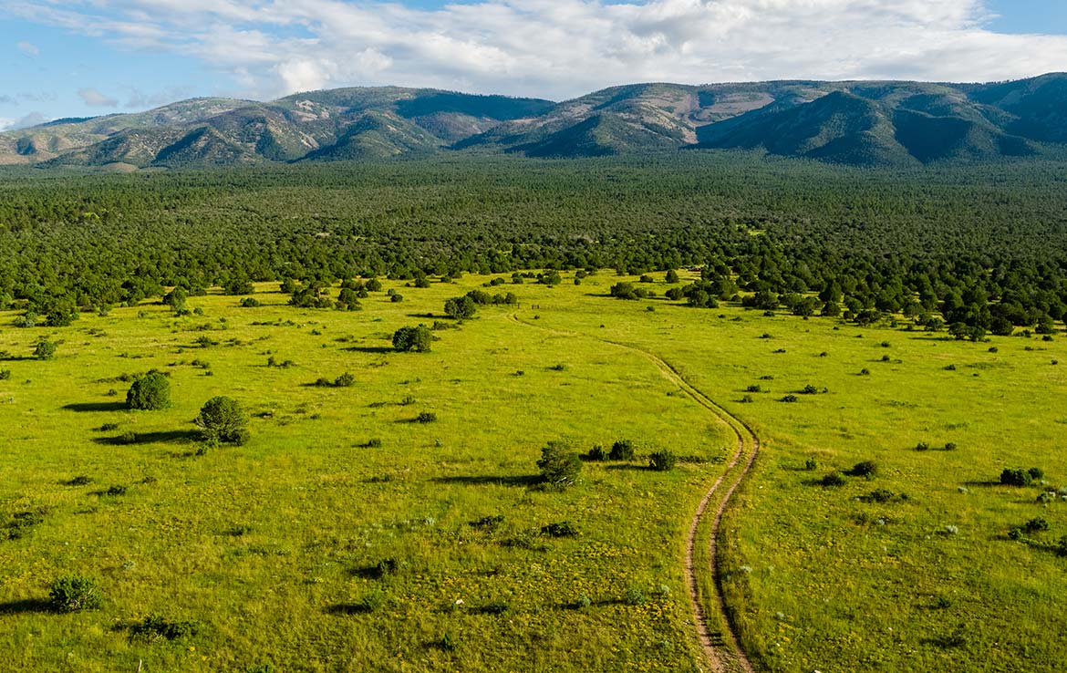 El Capitan Ranch 11,070 Acre Ranch Lincoln County Image 21