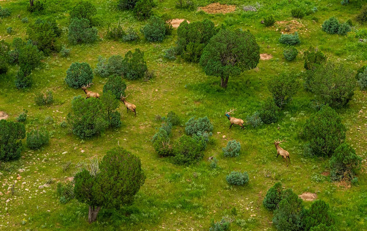 El Capitan Ranch 11,070 Acre Ranch Lincoln County Image 22