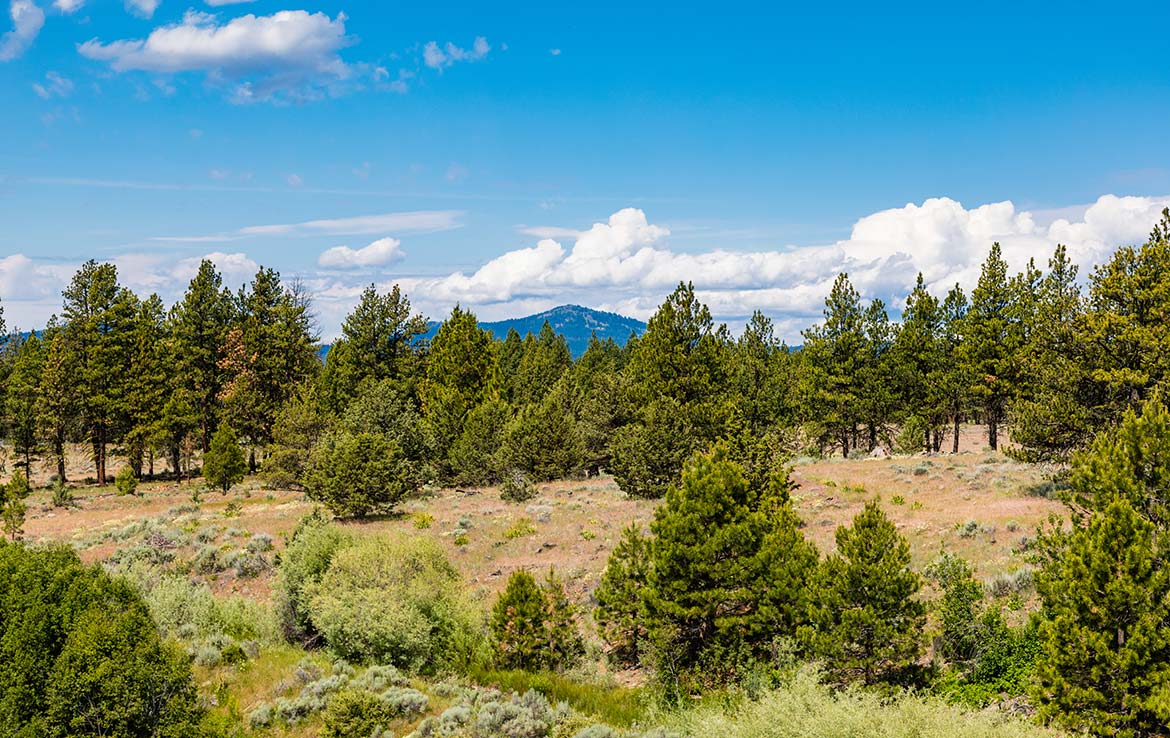 Summit Prairie Ranch 9300 Acre Ranch Crook County Image 11