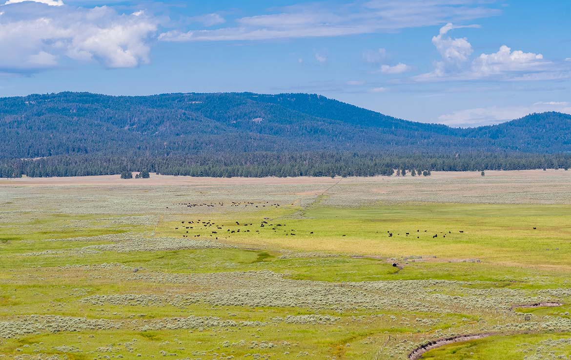1Summit Prairie Ranch 9300 Acre Ranch Crook County Image 15