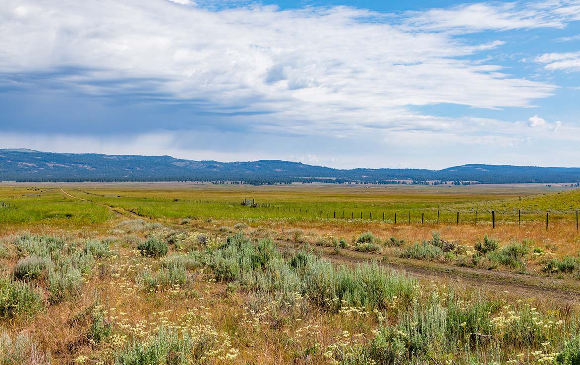 1Summit Prairie Ranch 9300 Acre Ranch Crook County Image 2
