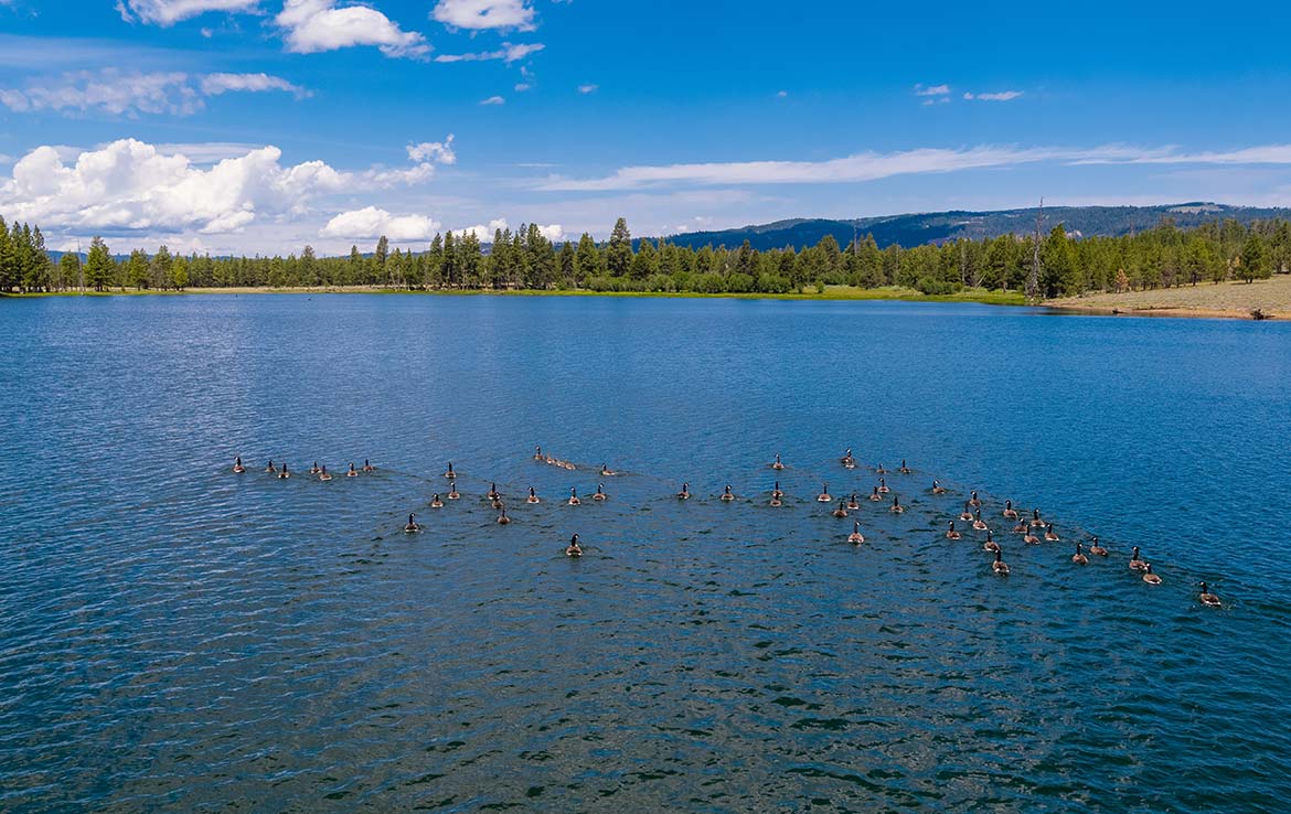 1Summit Prairie Ranch 9300 Acre Ranch Crook County Image 5