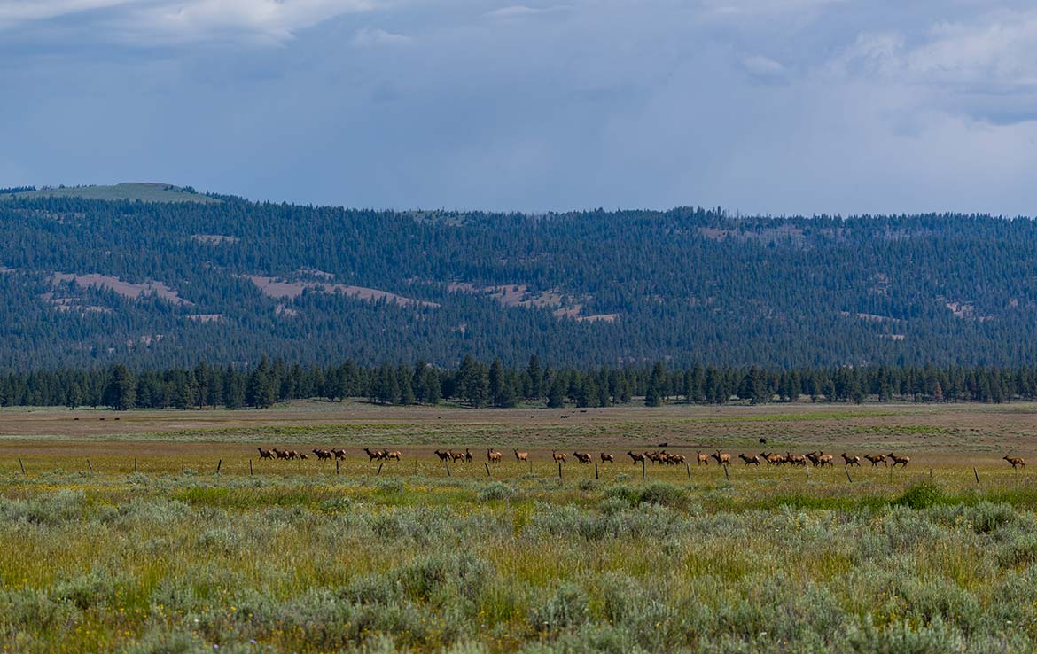 1Summit Prairie Ranch 9300 Acre Ranch Crook County Image 9