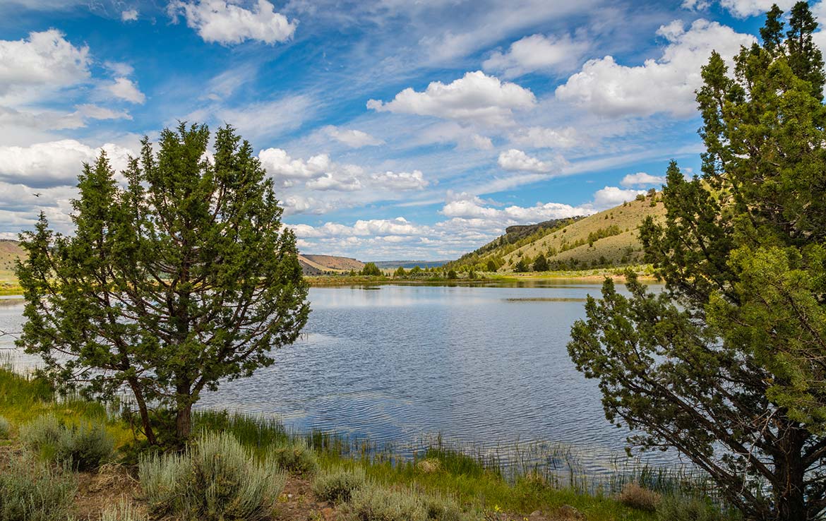 LS Ranch 22791 Acre Ranch Crook County Oregon Image 10