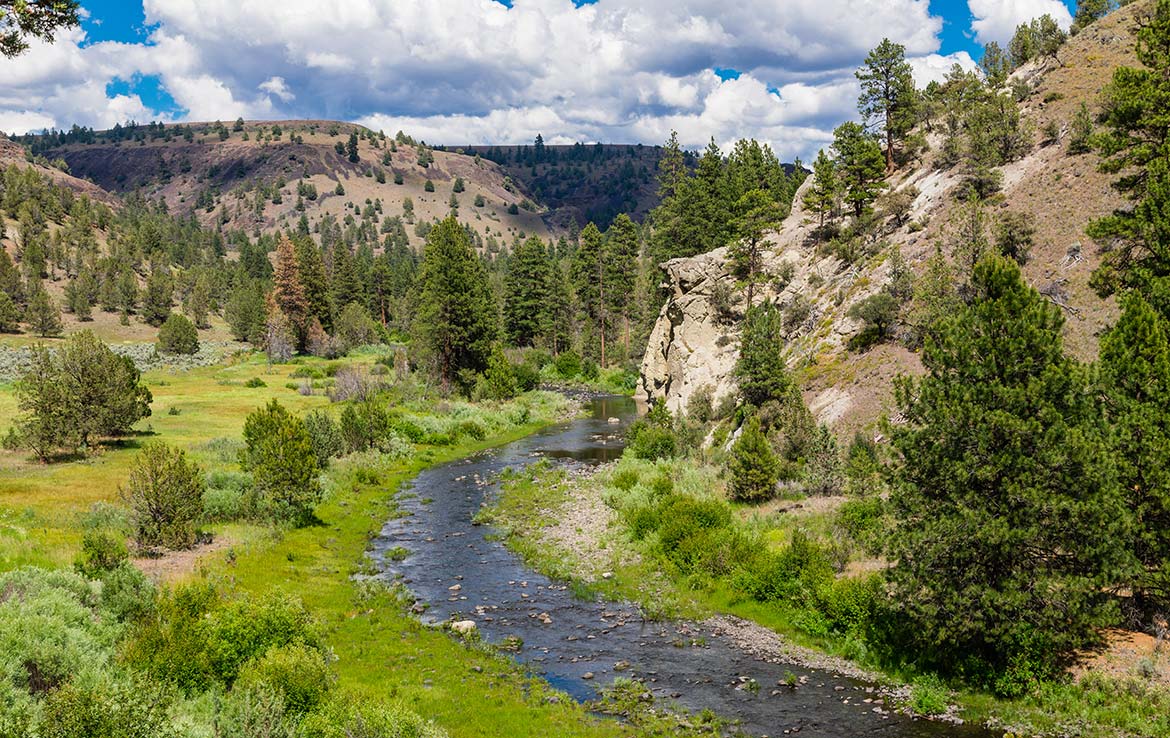LS Ranch 22791 Acre Ranch Crook County Oregon Image 12