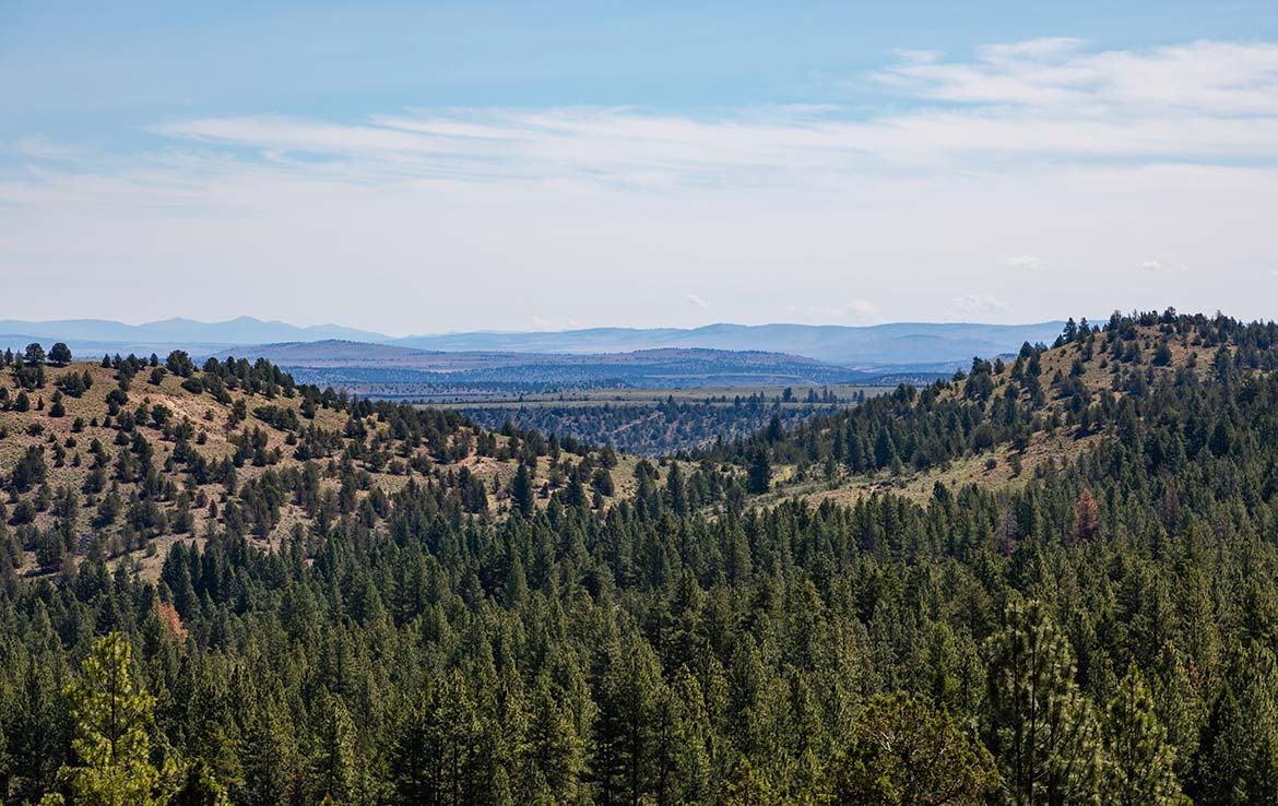 LS Ranch 22791 Acre Ranch Crook County Oregon Image 14