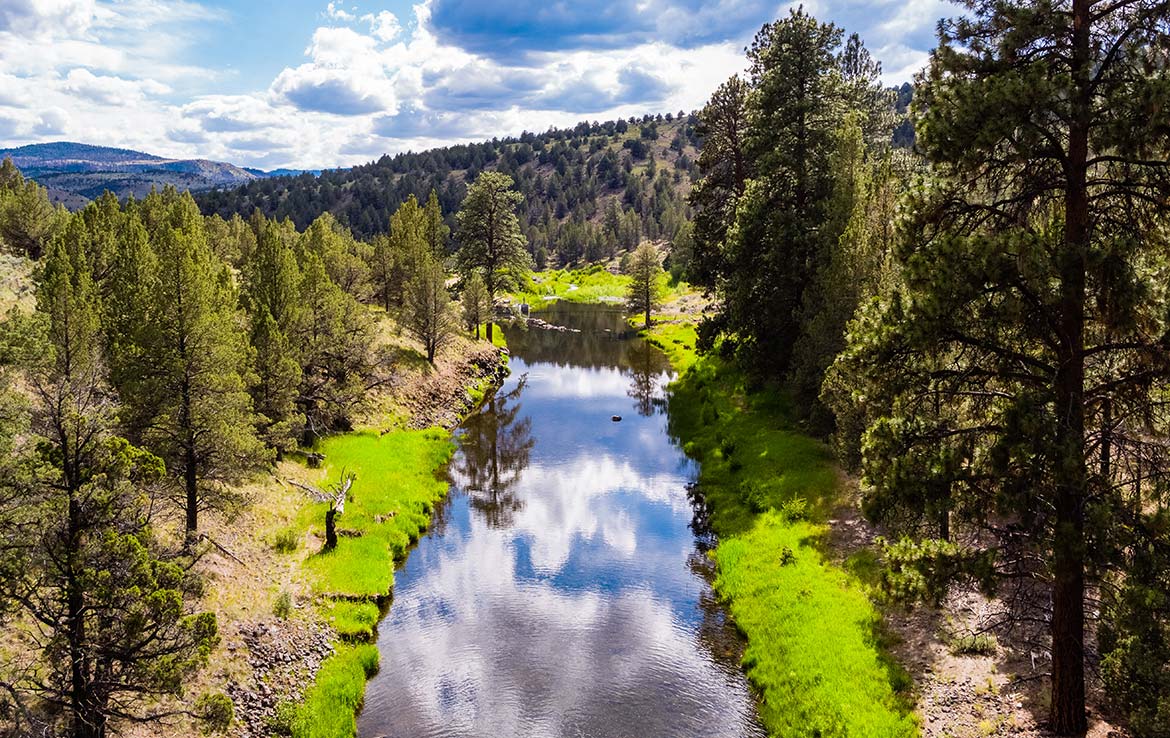 LS Ranch 22791 Acre Ranch Crook County Oregon Image 15