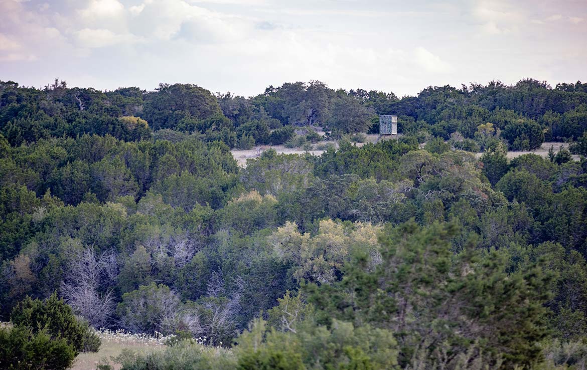 Smith Ranch 385 Acre Ranch Burnet County Image 4