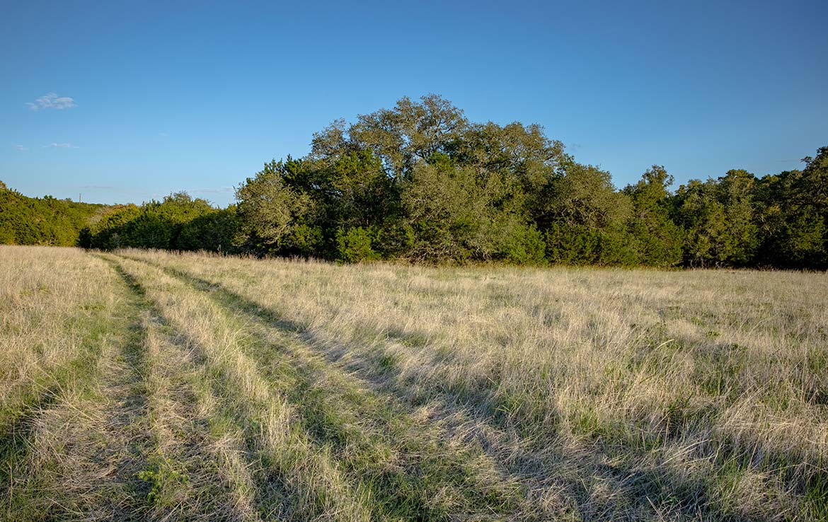 Smith Ranch 385 Acre Ranch Burnet County Image 5