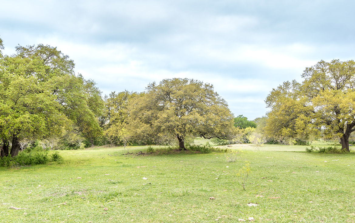 Two Creek Comanche Ranch 141 Acre Ranch Comanche County Image 4
