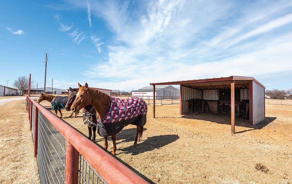 Cross Triangle Arena 24 Acre Ranch Erath County Image 2