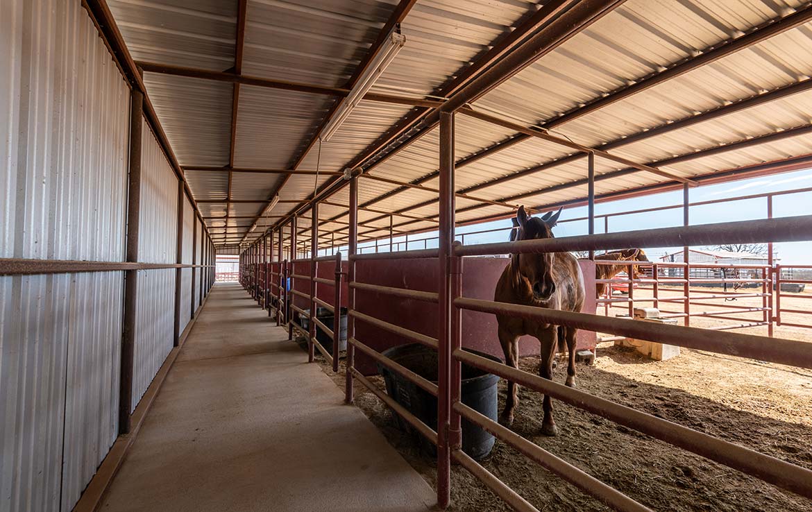 Cross Triangle Arena 24 Acre Ranch Erath County Image 4
