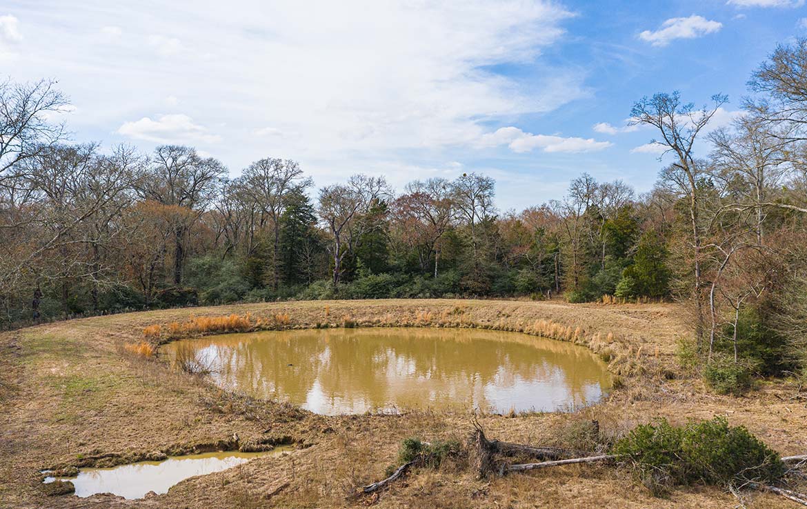 Caney Creek Ranch 465 Acre Ranch Freestone County Image 10