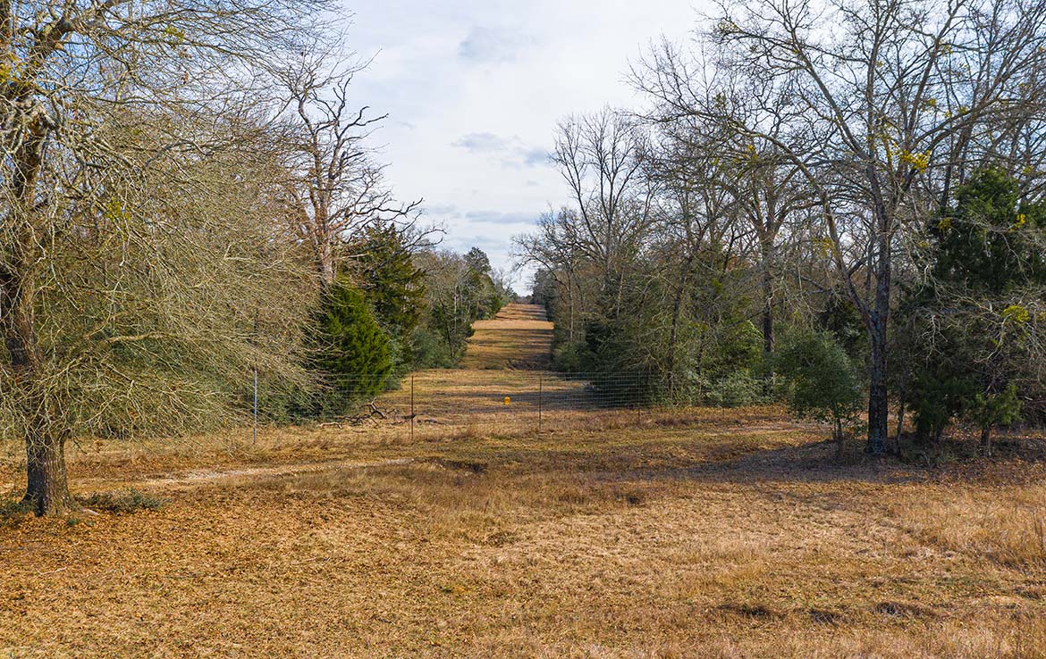 Caney Creek Ranch 465 Acre Ranch Freestone County Image 11