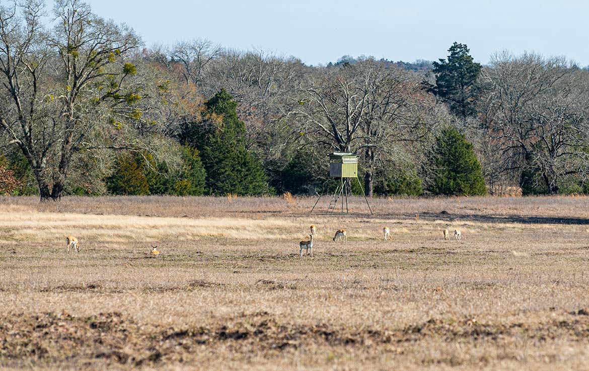 Caney Creek Ranch 465 Acre Ranch Freestone County Image 12