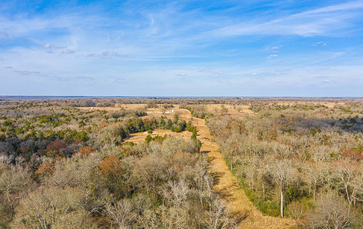 Caney Creek Ranch 465 Acre Ranch Freestone County Image 17