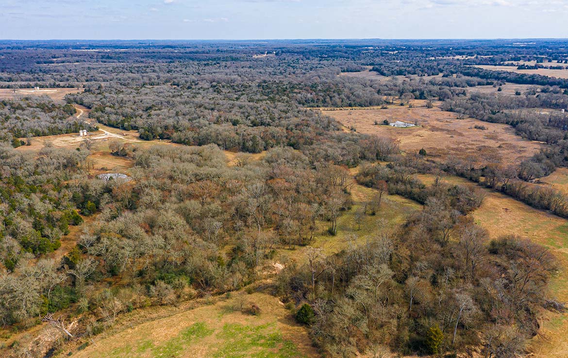 Caney Creek Ranch 465 Acre Ranch Freestone County Image 19