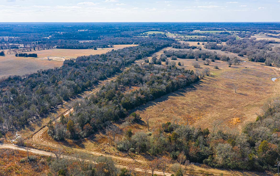Caney Creek Ranch 465 Acre Ranch Freestone County Image 23