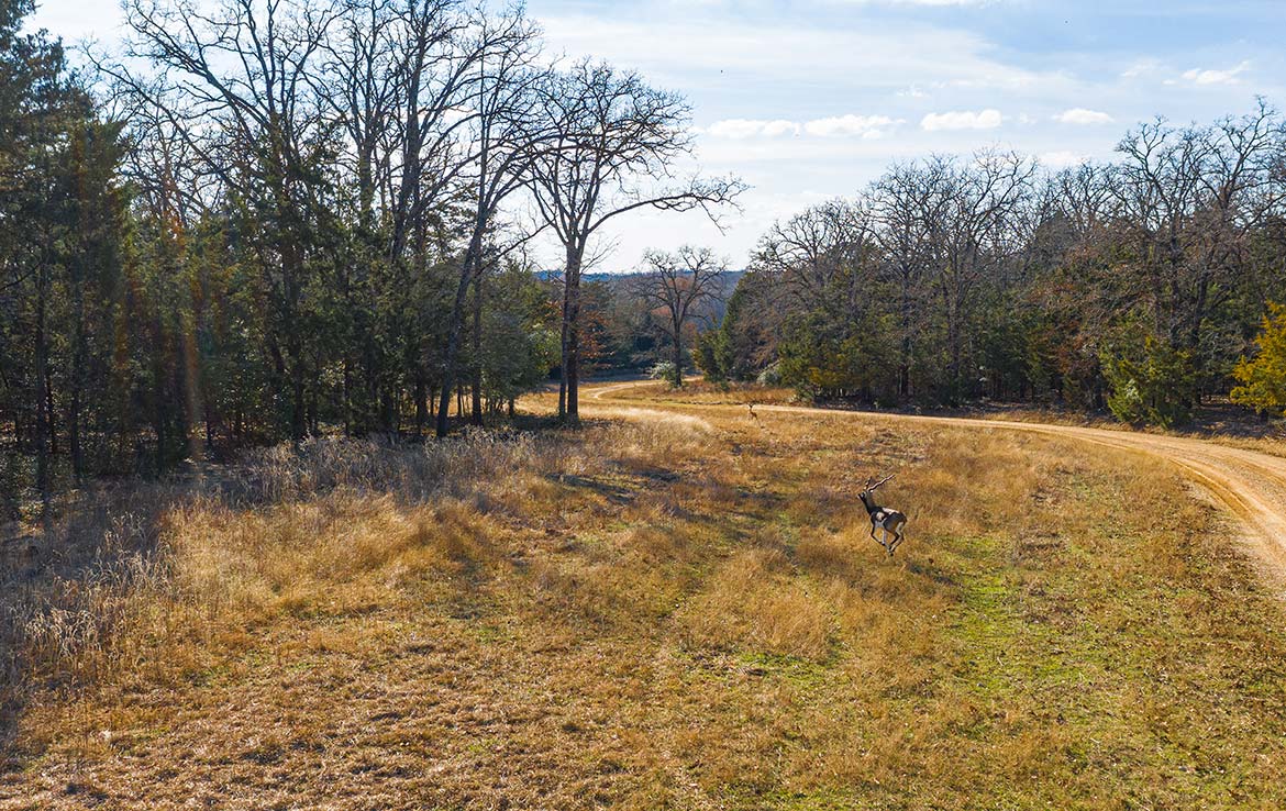 Caney Creek Ranch 465 Acre Ranch Freestone County Image 6