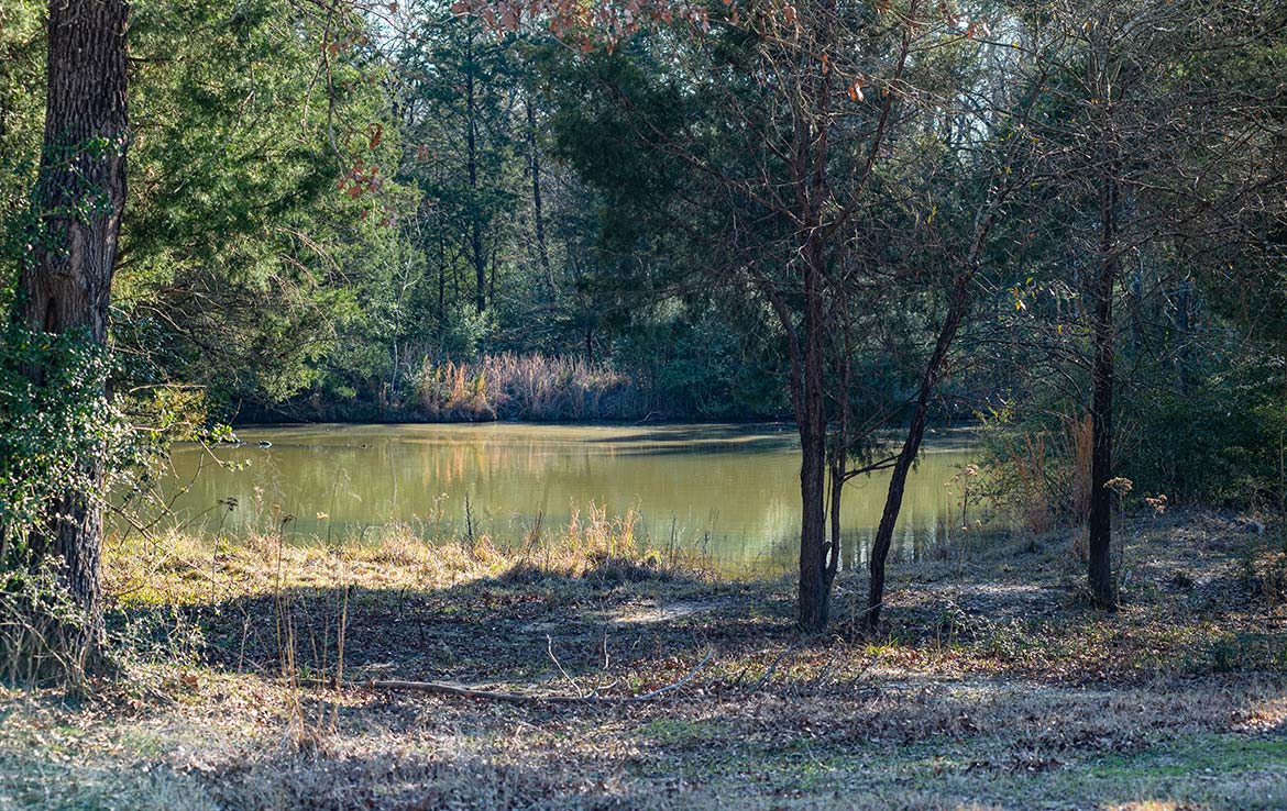 Caney Creek Ranch 465 Acre Ranch Freestone County Image 8