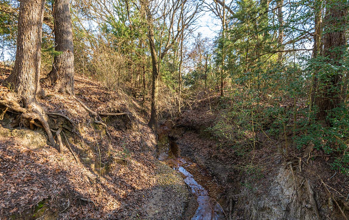 Caney Creek Ranch 465 Acre Ranch Freestone County Image 9