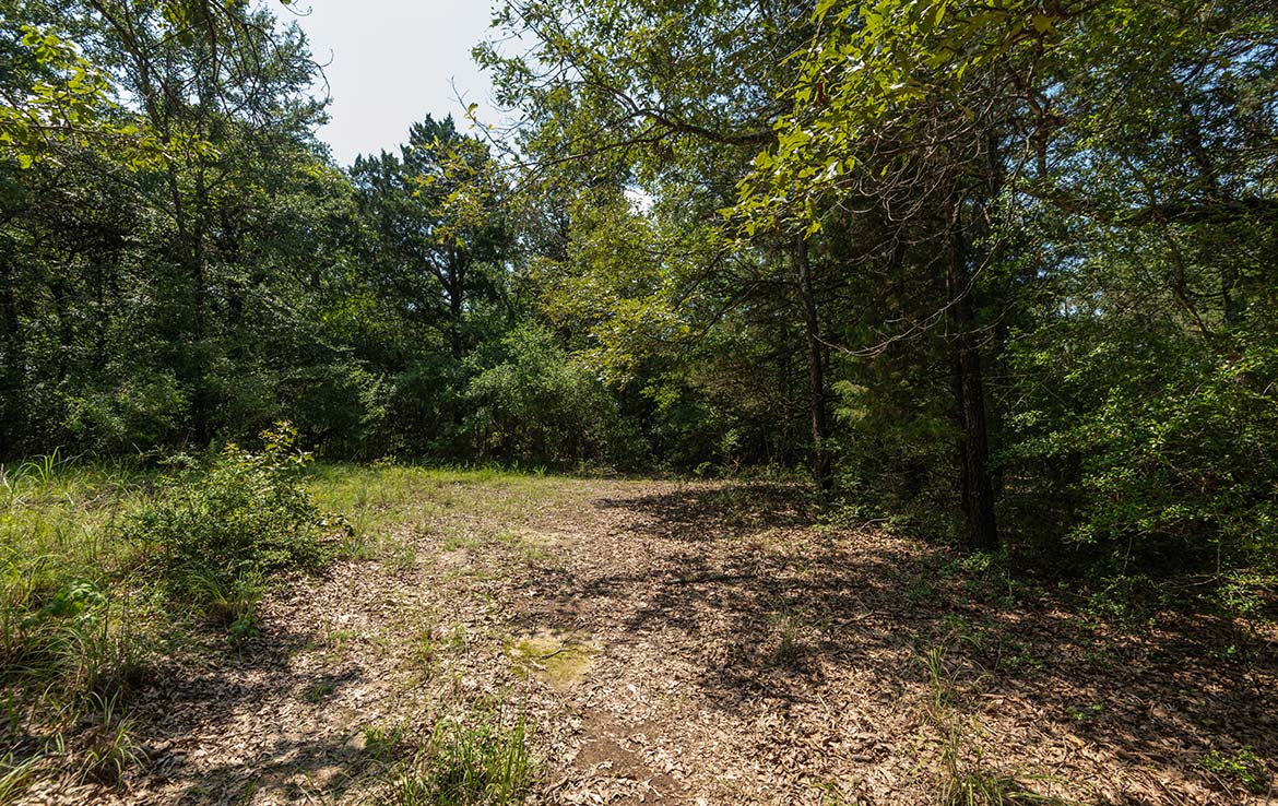 Ward Ranch 65 Acre Ranch Freestone County Image 1