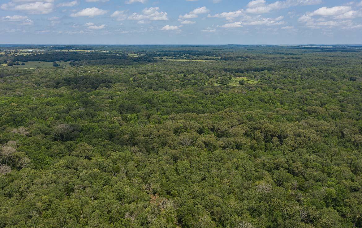 Ward Ranch 65 Acre Ranch Freestone County Image 10