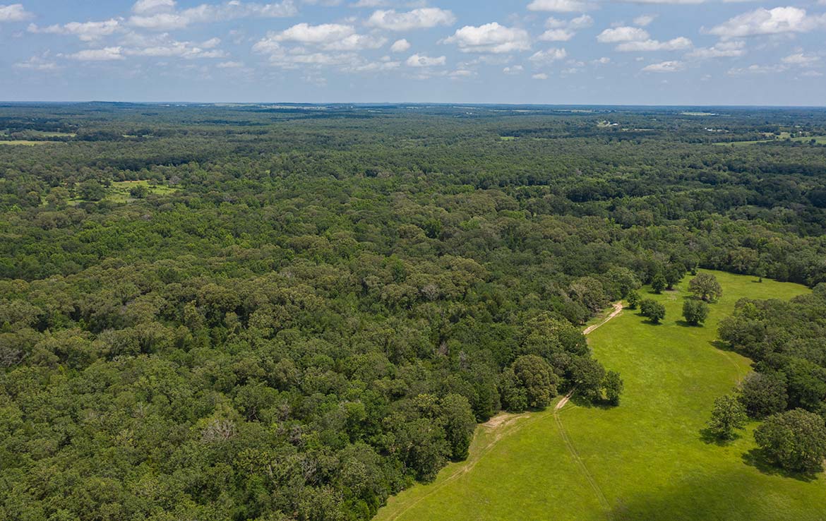 Ward Ranch 65 Acre Ranch Freestone County Image 11