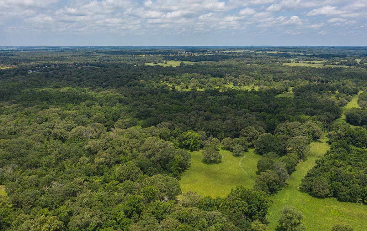 Ward Ranch 65 Acre Ranch Freestone County Image 13