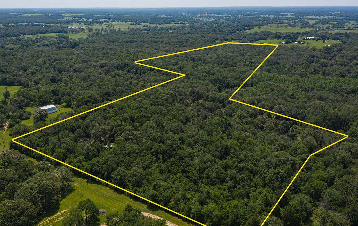 Ward Ranch 65 Acre Ranch Freestone County Image 14