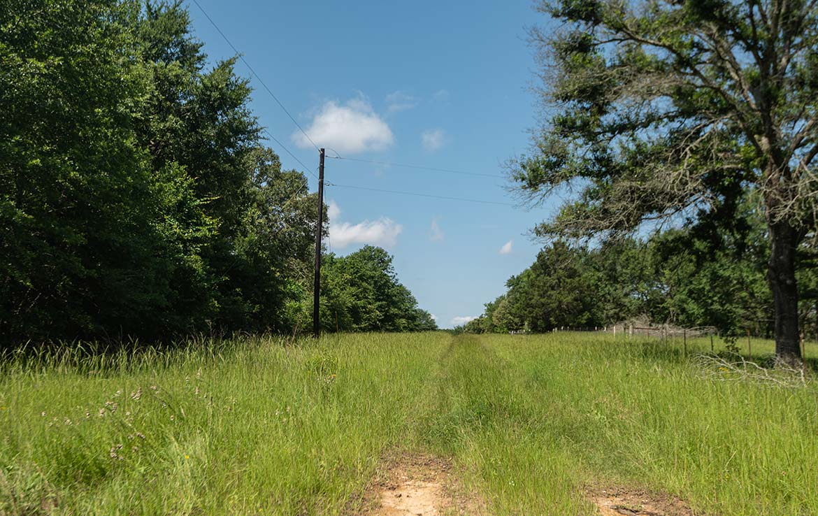 Ward Ranch 65 Acre Ranch Freestone County Image 2