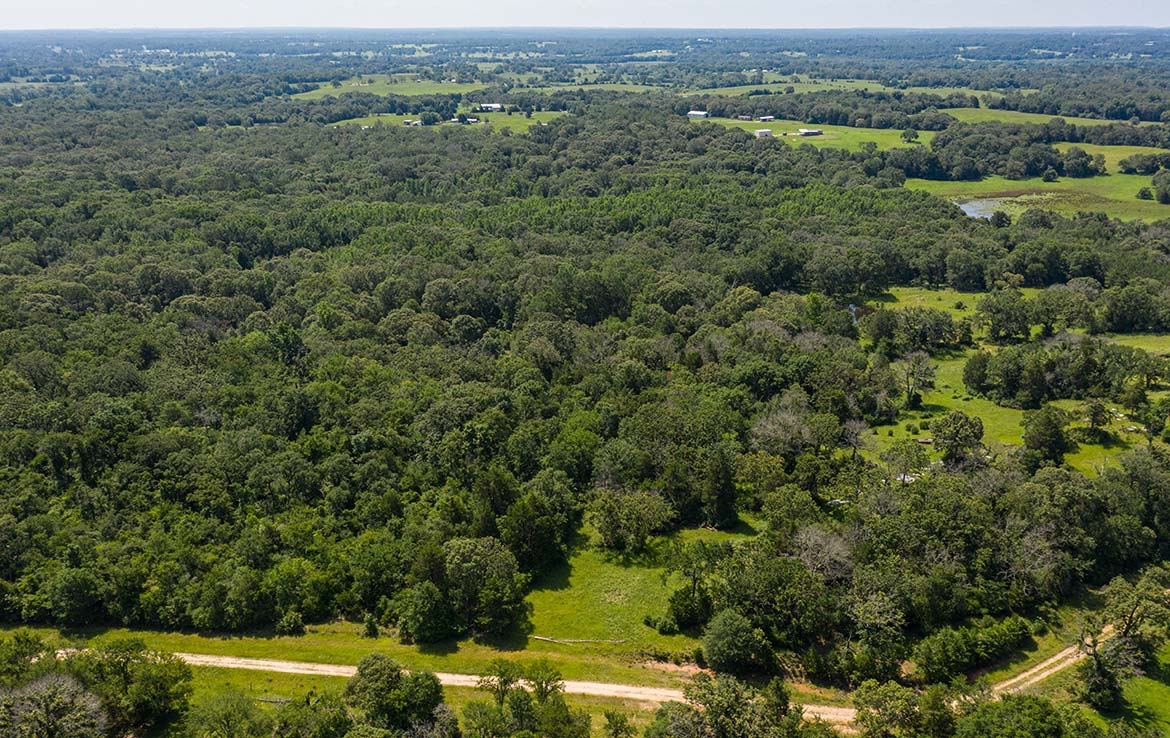 Ward Ranch 65 Acre Ranch Freestone County Image 6