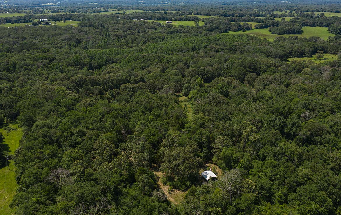 Ward Ranch 65 Acre Ranch Freestone County Image 8