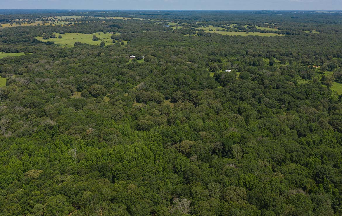 Ward Ranch 65 Acre Ranch Freestone County Image 9