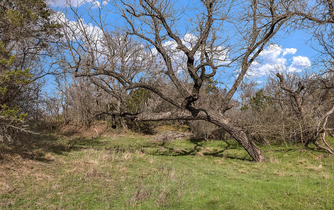 Bristow River Ranch 69 Acre Ranch Lampasas County Image 10
