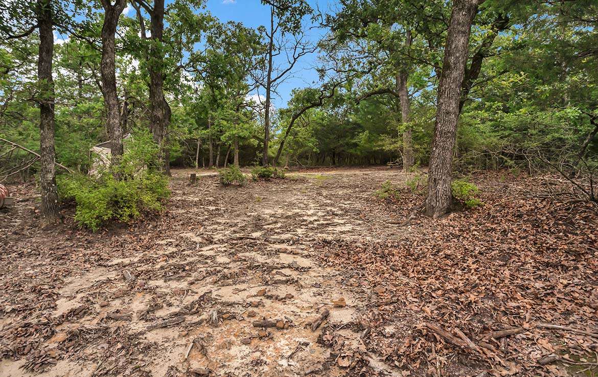 Pigman Ranch 169 Acre Ranch Limestone County Image 11