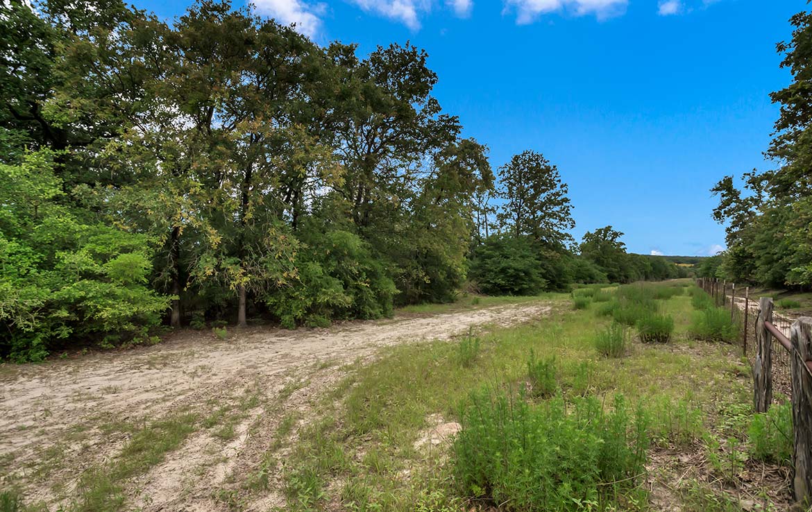 Pigman Ranch 169 Acre Ranch Limestone County Image 12