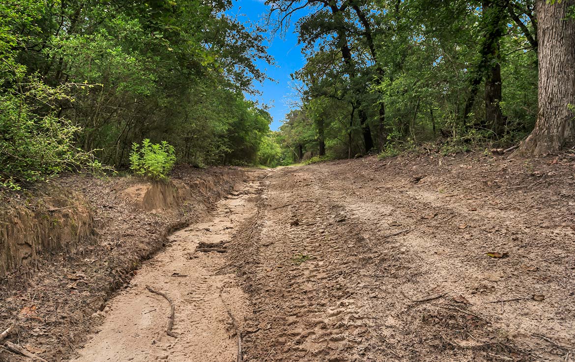 Pigman Ranch 169 Acre Ranch Limestone County Image 13