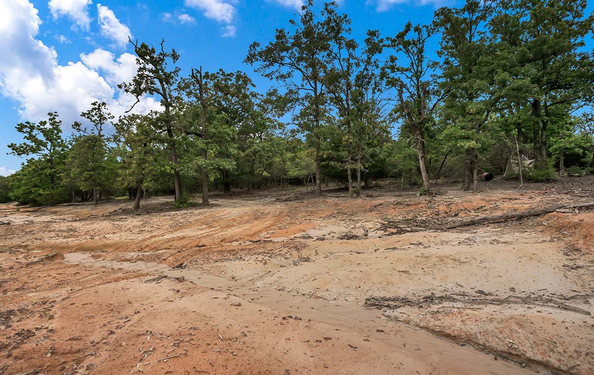 Pigman Ranch 169 Acre Ranch Limestone County Image 14