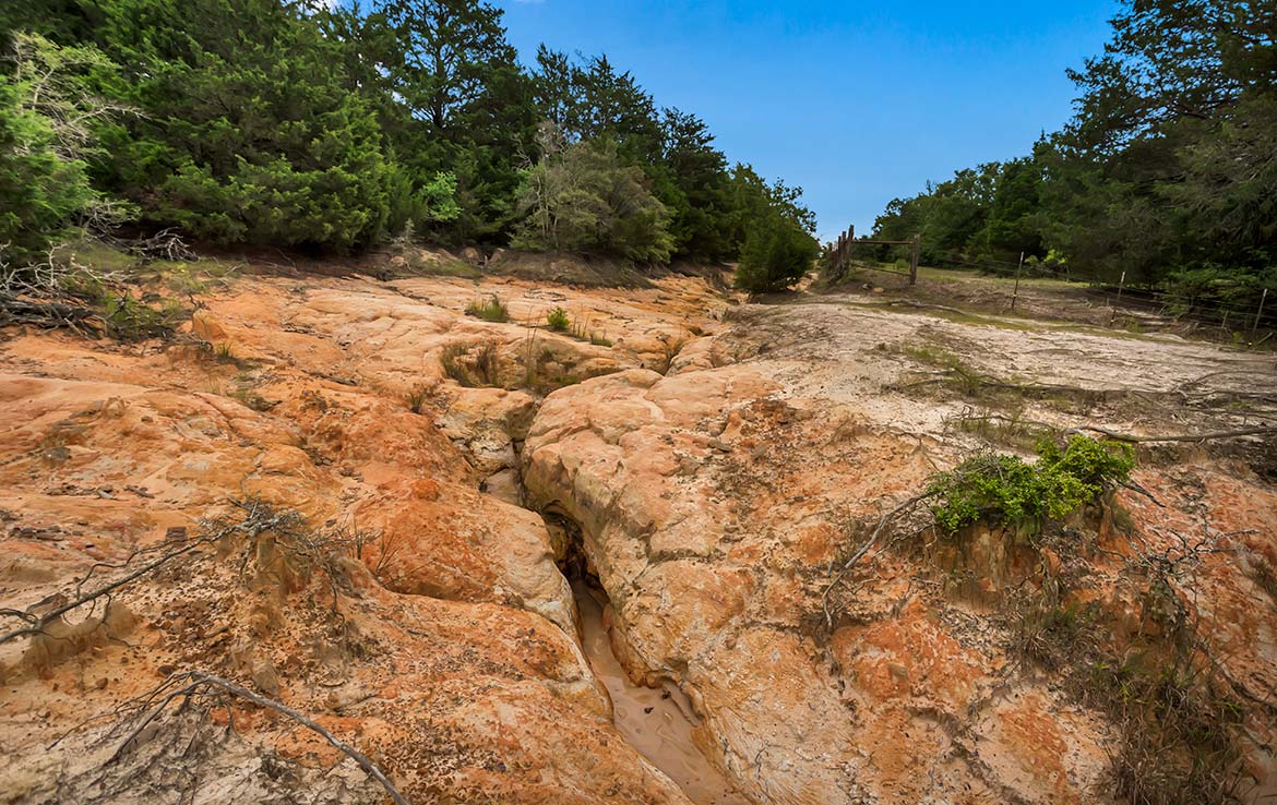 Pigman Ranch 169 Acre Ranch Limestone County Image 15