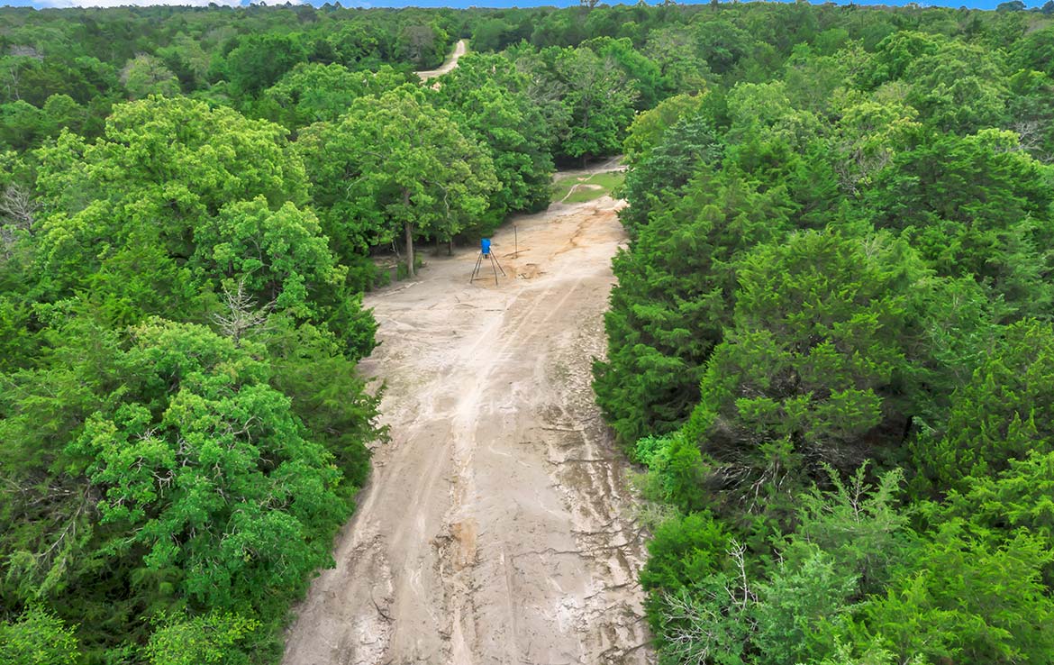 Pigman Ranch 169 Acre Ranch Limestone County Image 17