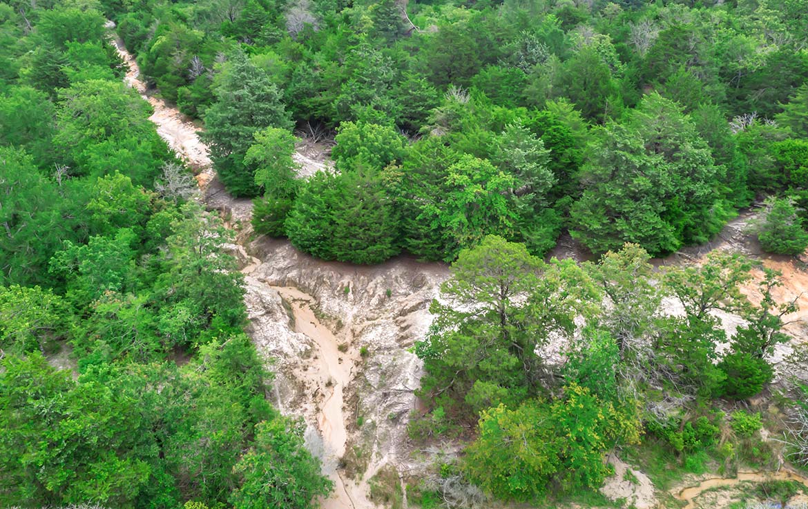 Pigman Ranch 169 Acre Ranch Limestone County Image 18
