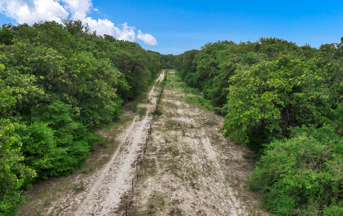 Pigman Ranch 169 Acre Ranch Limestone County Image 20