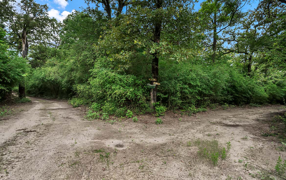 Pigman Ranch 169 Acre Ranch Limestone County Image 3